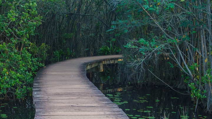 Beddagana Wetland Park