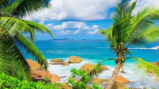 Best Budget-Friendly Sri Lanka Trips
