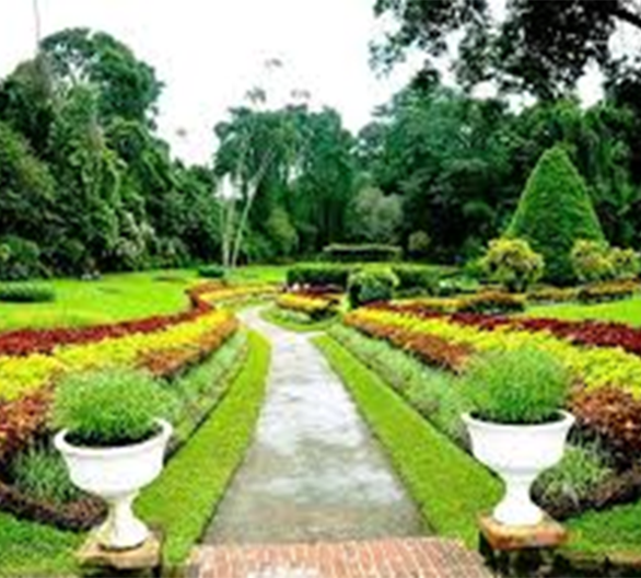 Royal Botanical Gardens