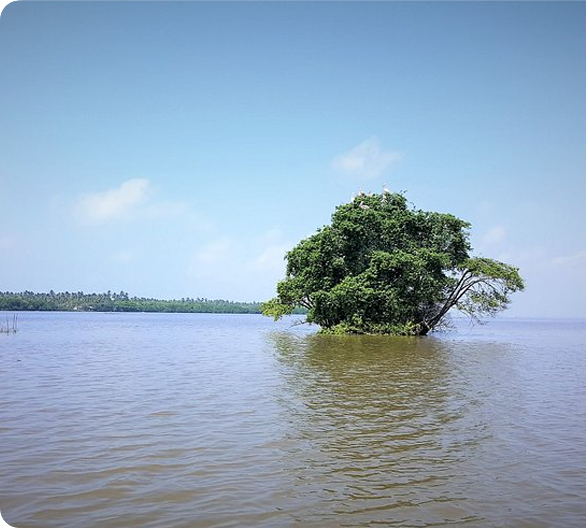 Negombo Beach and lagoon