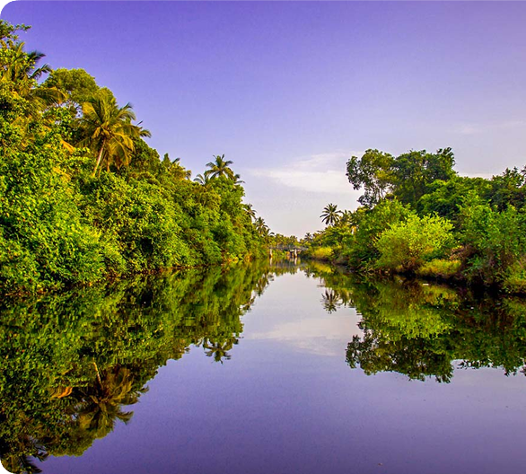 Muthurajawela Marsh 