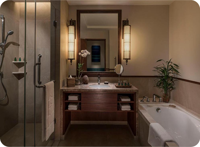 Premium Suite