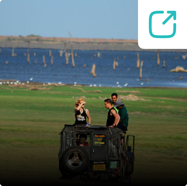Minneriya National Park Jeep Safari Day Tour