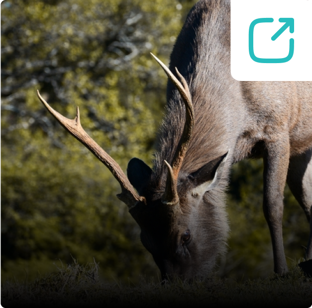Horton Plains Day Tour