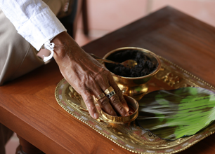 Ayurvedic Treatment for Kidney Stone