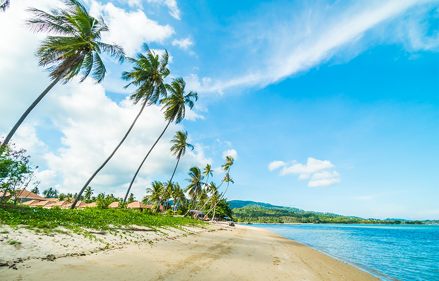bentota beach image