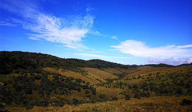 Hortons Plain National Park