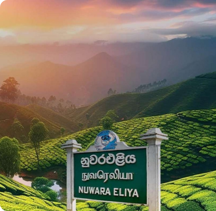 Nuwara Eliya City Sightseeing Tour