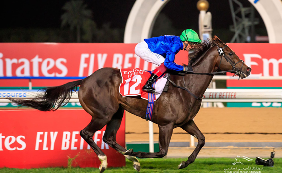 Enjoy Horse Racing at Meydan Racecourse