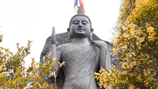 Avukana Buddha Statue  