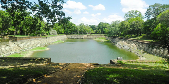 The Elephant Pond 