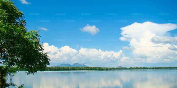 Kala weva (Reservoir)