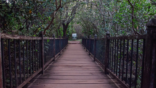 Beddagana Wetland Park