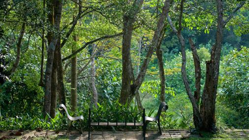 Lunuganga Garden Tour 