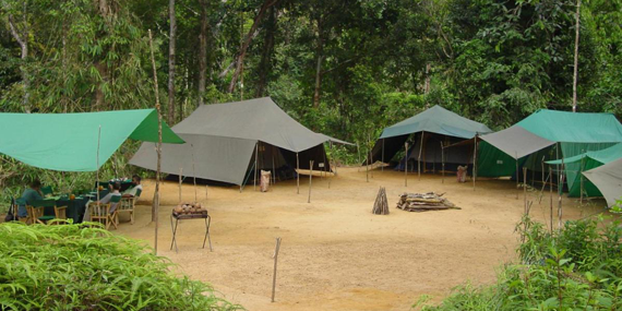 Camping at Sinharaja Forest
