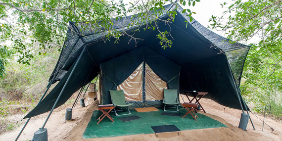 Camping at Sinharaja Forest