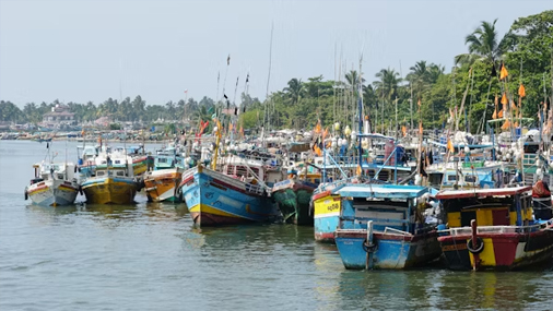 Boat ride on the Negombo lagoon