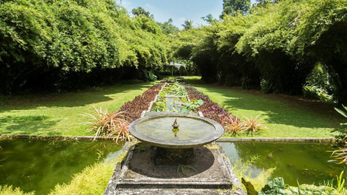 Brief garden