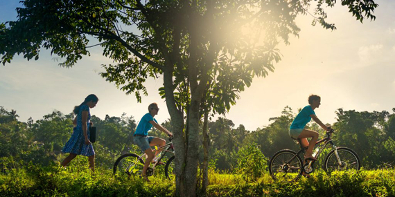 Lagoon and Village Cycling 