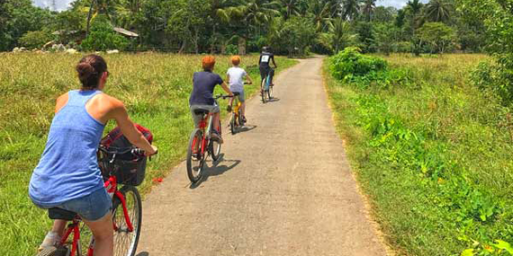 Lagoon and Village Cycling 