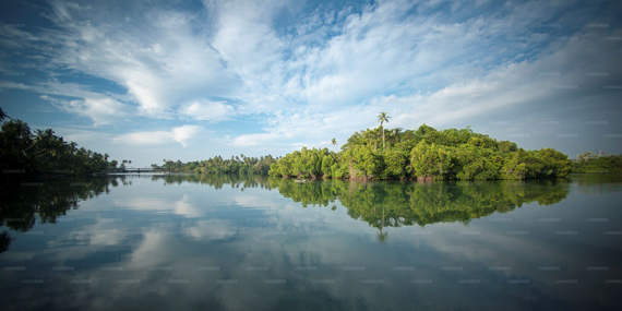 Madol duwa Boat Safari and fish therapy 