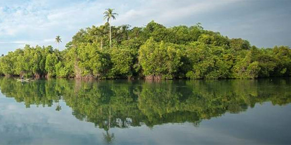 Madol duwa Boat Safari and fish therapy 