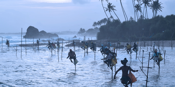 Stilt Fishermen