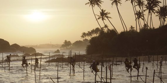 Stilt Fishermen