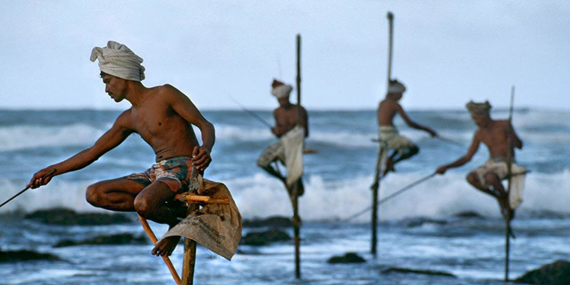 Stilt Fishermen