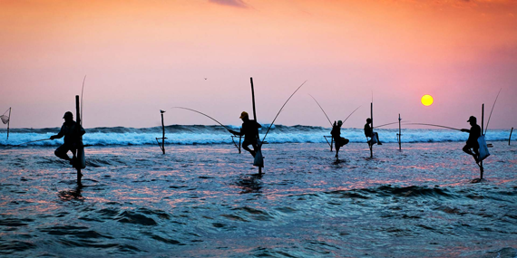 Stilt Fishermen