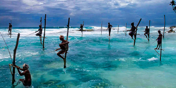 Stilt Fishermen