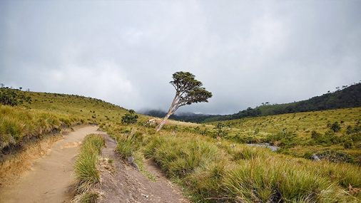 Hiking Routes