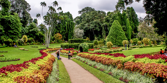 Royal Botanical Garden