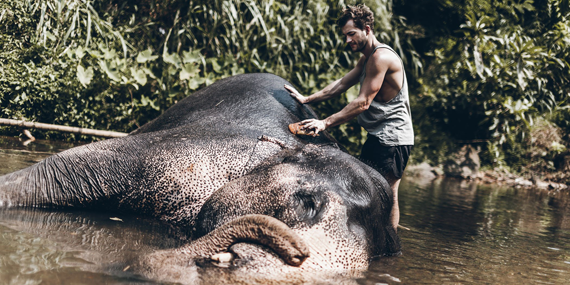 The Elephant Freedom Project