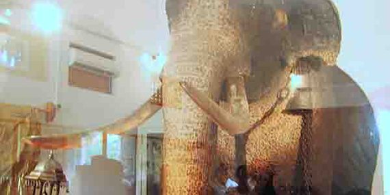 Tusker Raja Museum