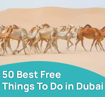 50 Best Free Things To Do in Dubai