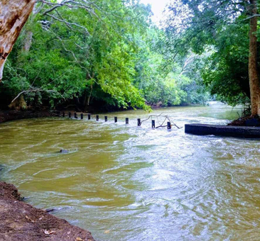 Historical Places to Visit in Polonnaruwa