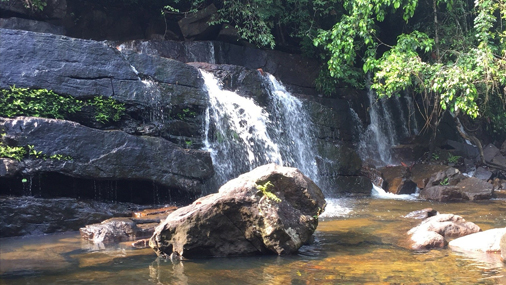 Makandawa Forest Reserve