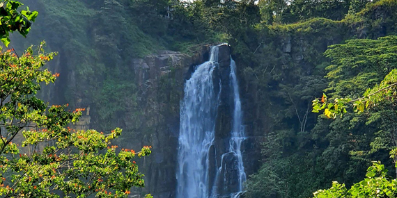 Devon waterfall