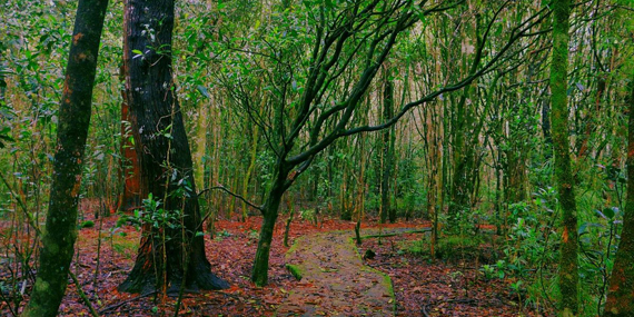 Galway’s Land National Park