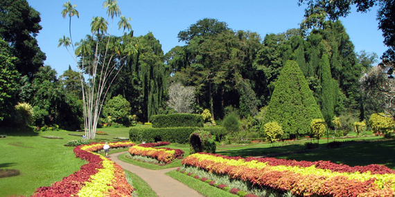 Hakgala Botanical Garden 