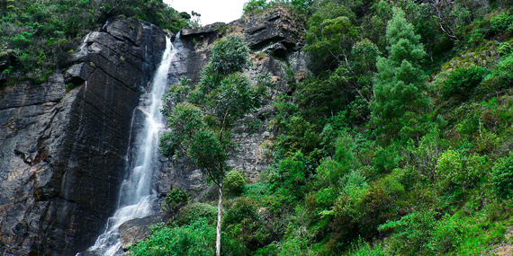 Lovers leap waterfall 