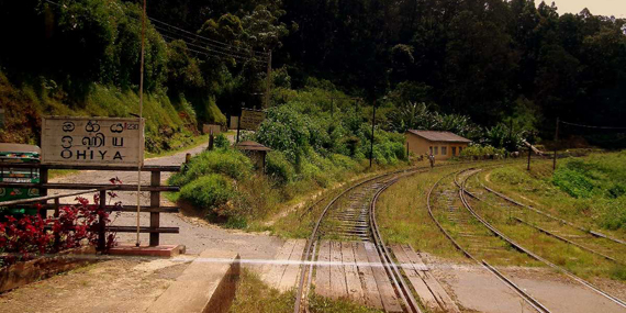 Ohiya (the rural village)