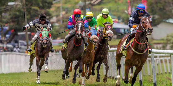 Horse races at racecourse grounds