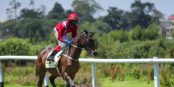 Horse races at racecourse grounds