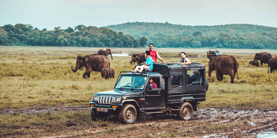 Kaudulla National Park 