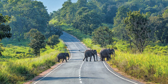 Maduru oya National Park 