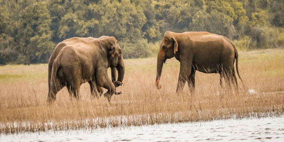 Maduru oya National Park 