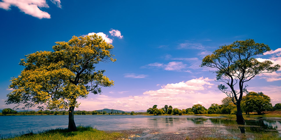 Parakrama Samudra