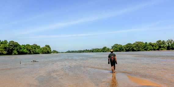 Flood Plains National Park 